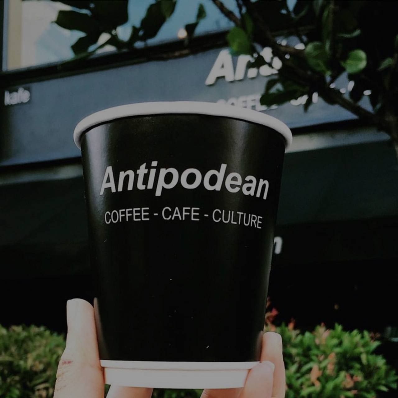Antipodean coffee